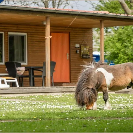 Bungalow 1